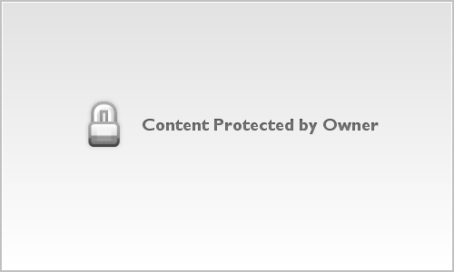 Free Bison Downloads