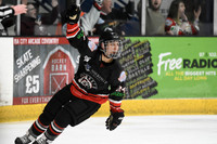 Bison 4-0 Tigers [08-04-18] NIHL1 PLAYOFF FINAL